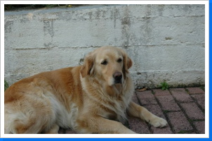 Klicken Sie auf das Bild, um es zu vergrößern